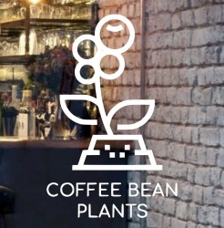 coffee-bean-plants-logo-design
