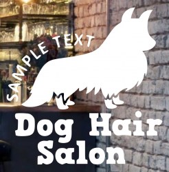 dog-hair-salon-front-glass-logo