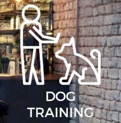 dog-training-front-door-design