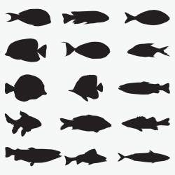 fish-silhouette