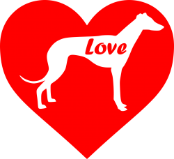 greyhound-red