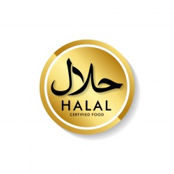 halal_17_generated
