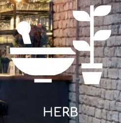 herbal-medication-logo