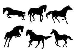 horse-silhouette-sticker-decal