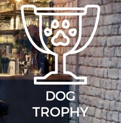 impressive-dog-trophy-front-door-design