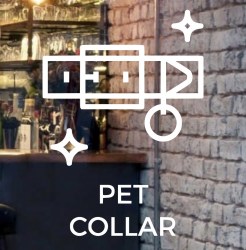 pet-collar-front-glass-logo